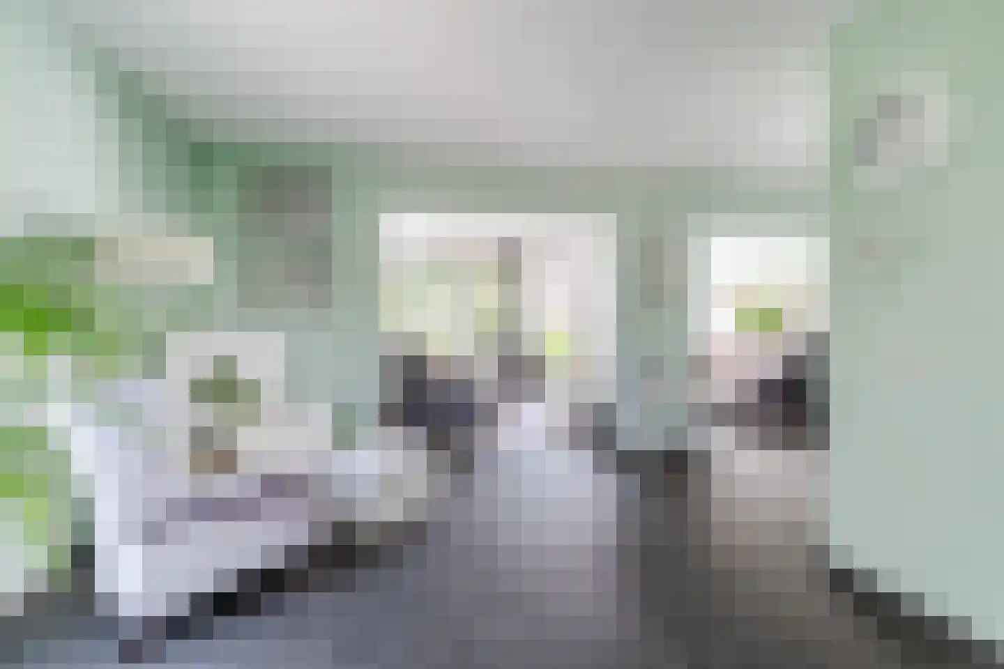 Laageinde 92 b Geldermalsen thumbnail 11