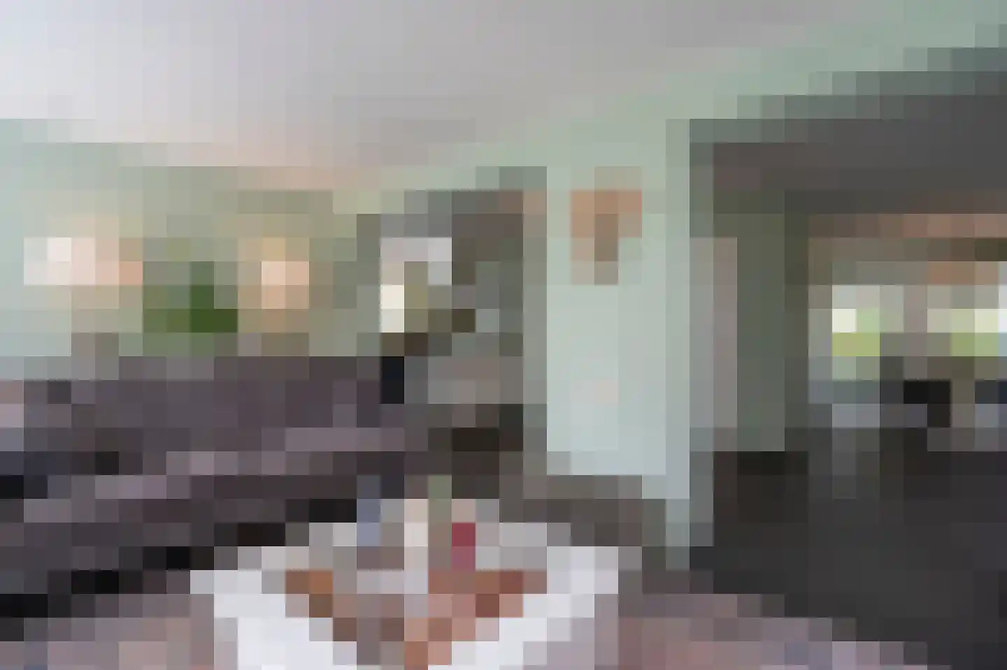 Laageinde 92 b Geldermalsen thumbnail 13