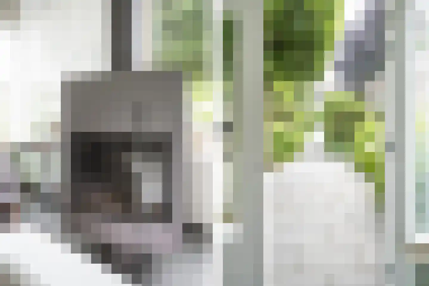 Laageinde 92 b Geldermalsen thumbnail 13