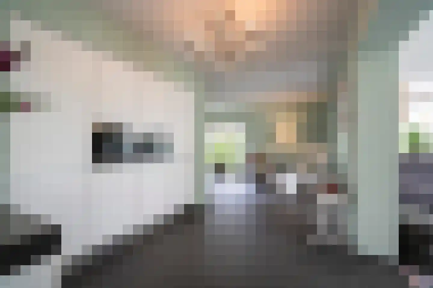 Laageinde 92 b Geldermalsen thumbnail 16