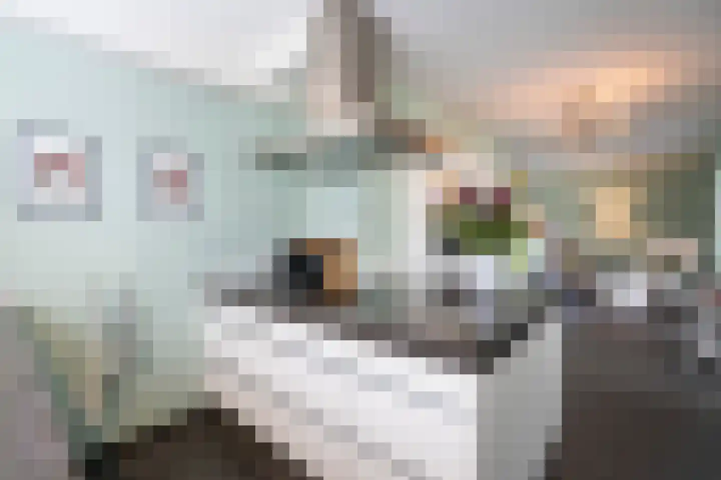 Laageinde 92 b Geldermalsen thumbnail 16