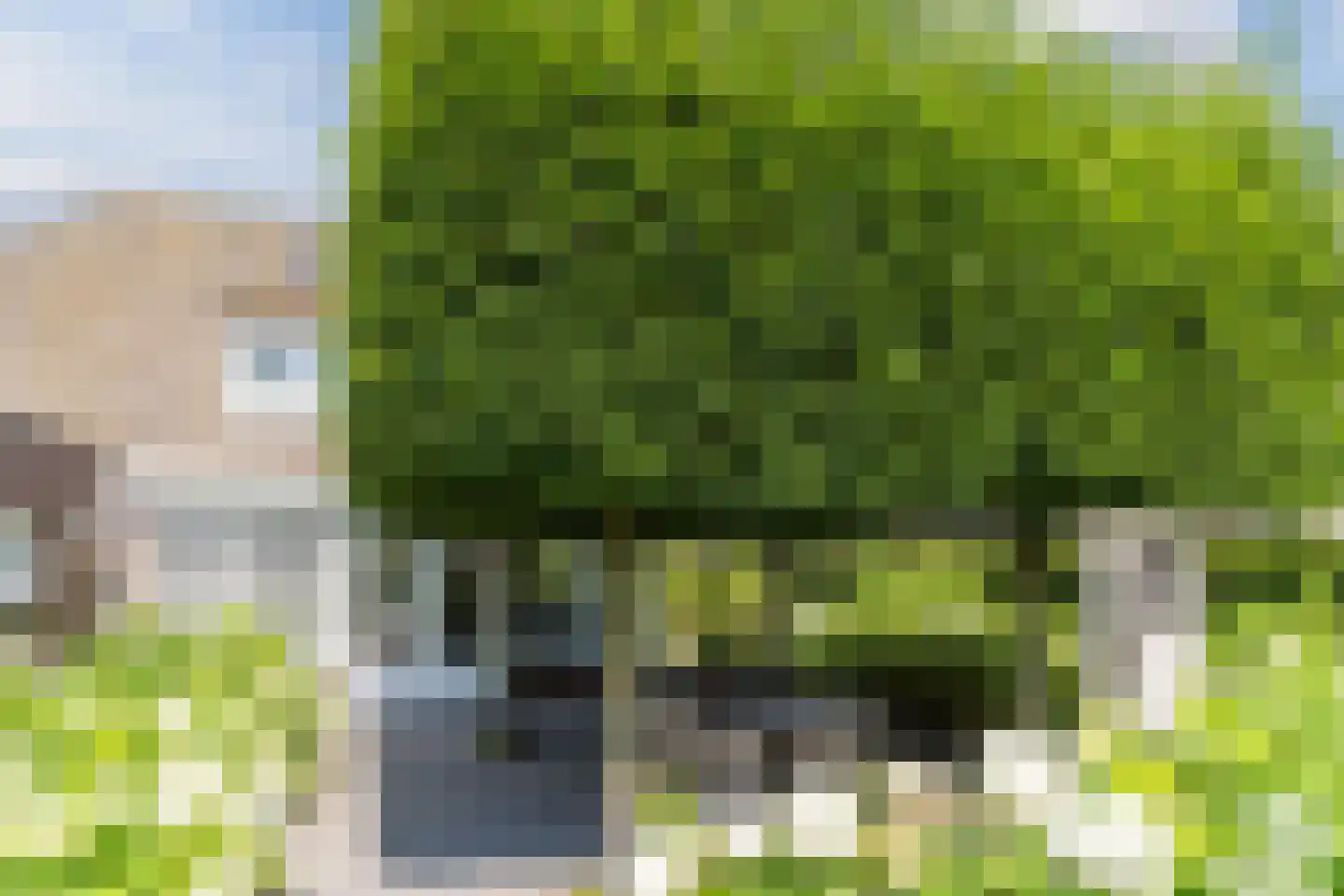 Laageinde 92 b Geldermalsen thumbnail 20