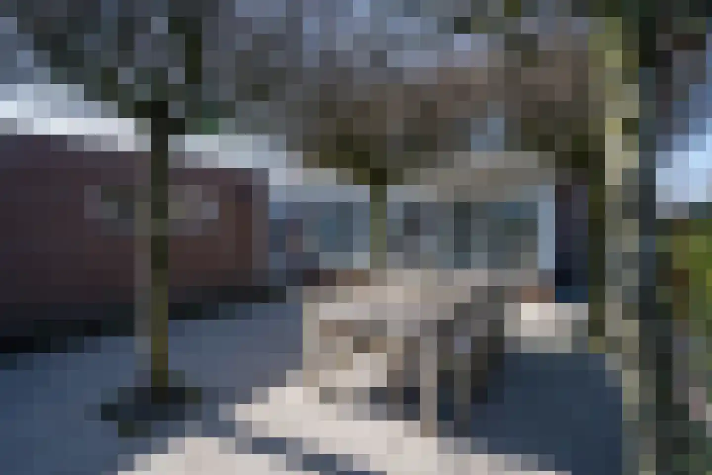 Laageinde 92 b Geldermalsen thumbnail 21