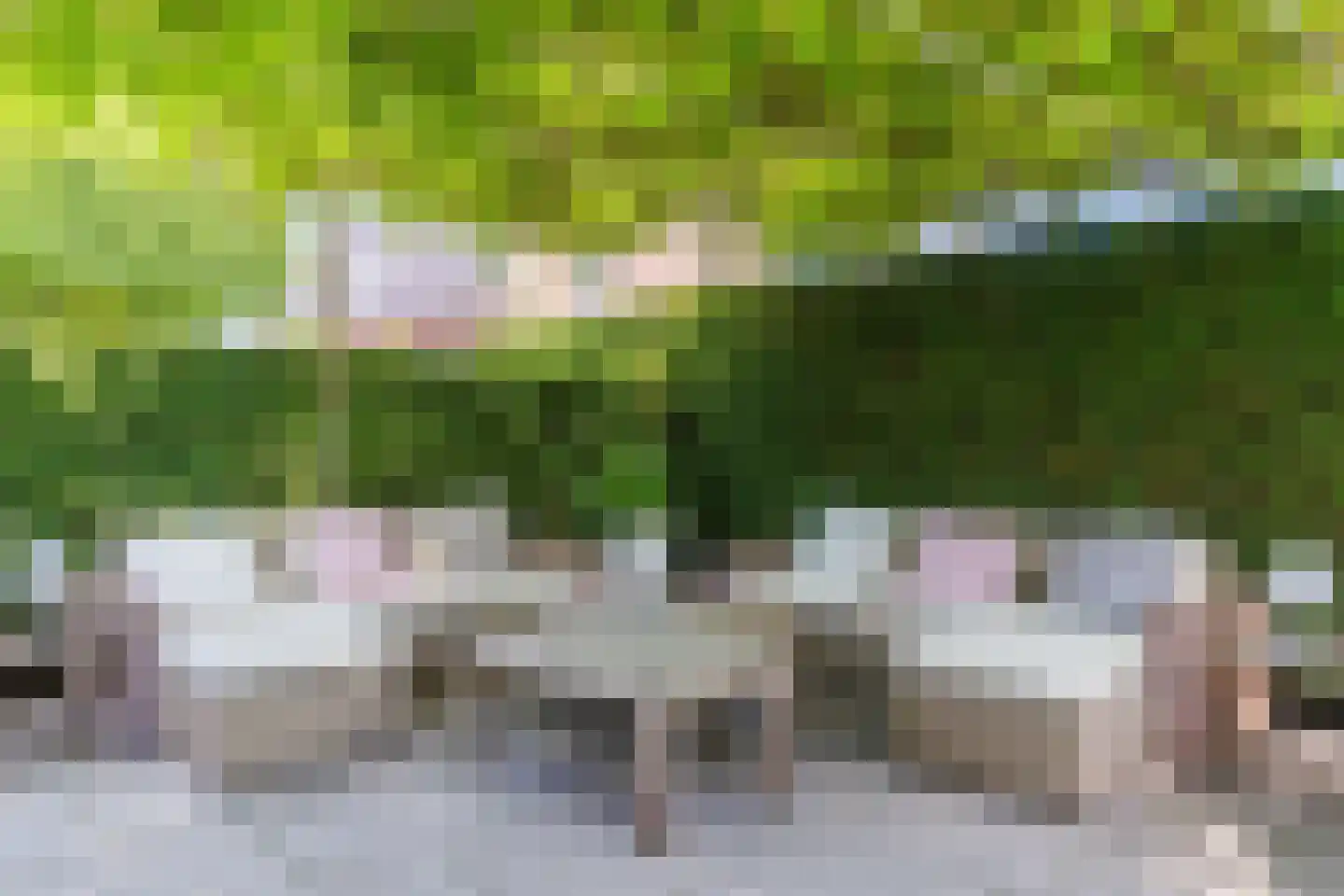 Laageinde 92 b Geldermalsen thumbnail 21