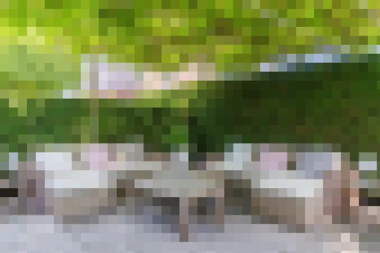 Laageinde 92 b Geldermalsen thumbnail 21