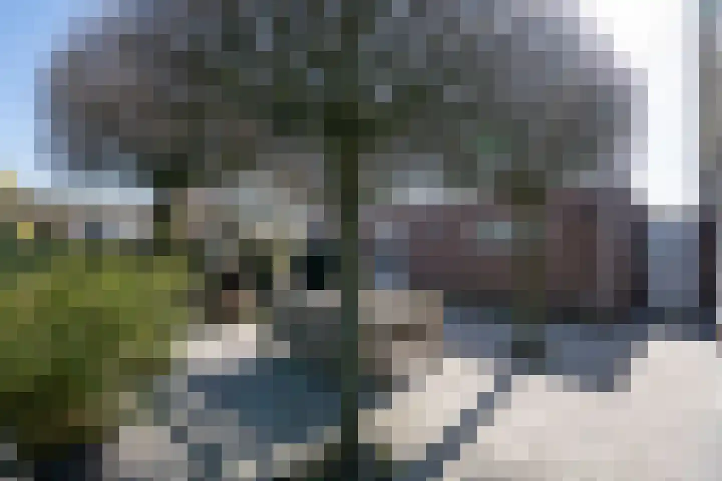 Laageinde 92 b Geldermalsen thumbnail 22