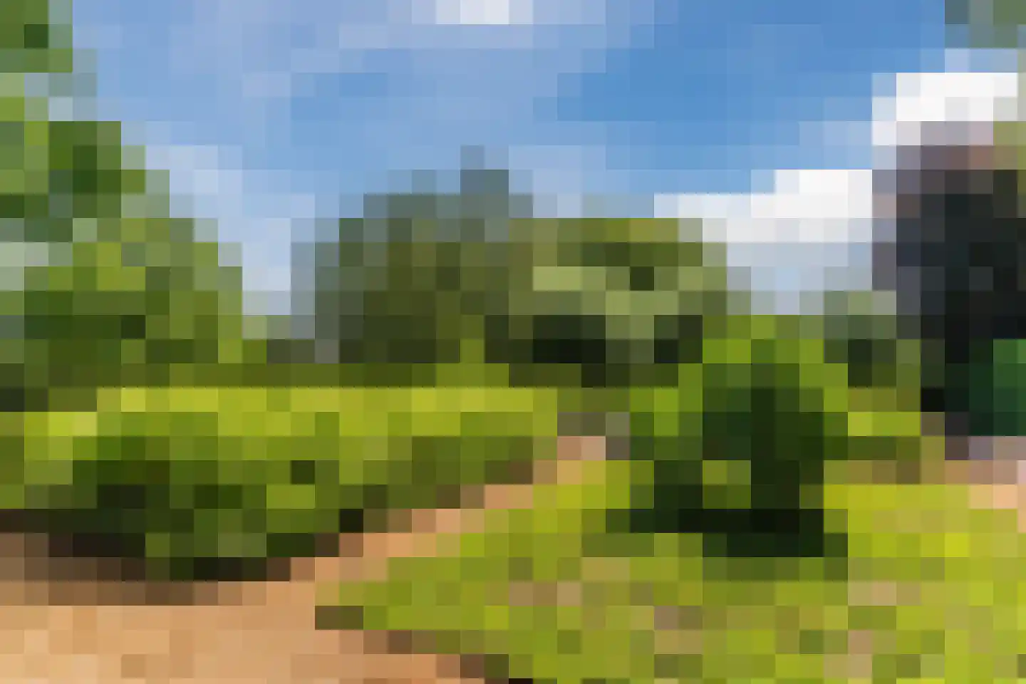 Laageinde 92 b Geldermalsen thumbnail 26