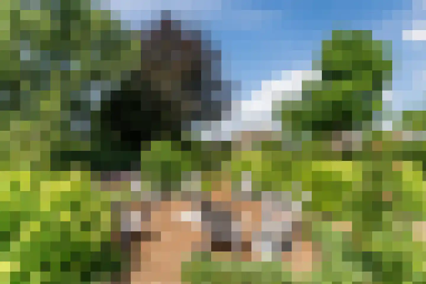 Laageinde 92 b Geldermalsen thumbnail 27