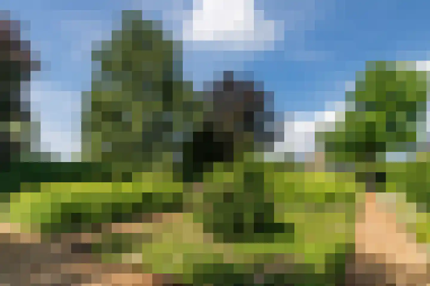 Laageinde 92 b Geldermalsen thumbnail 28