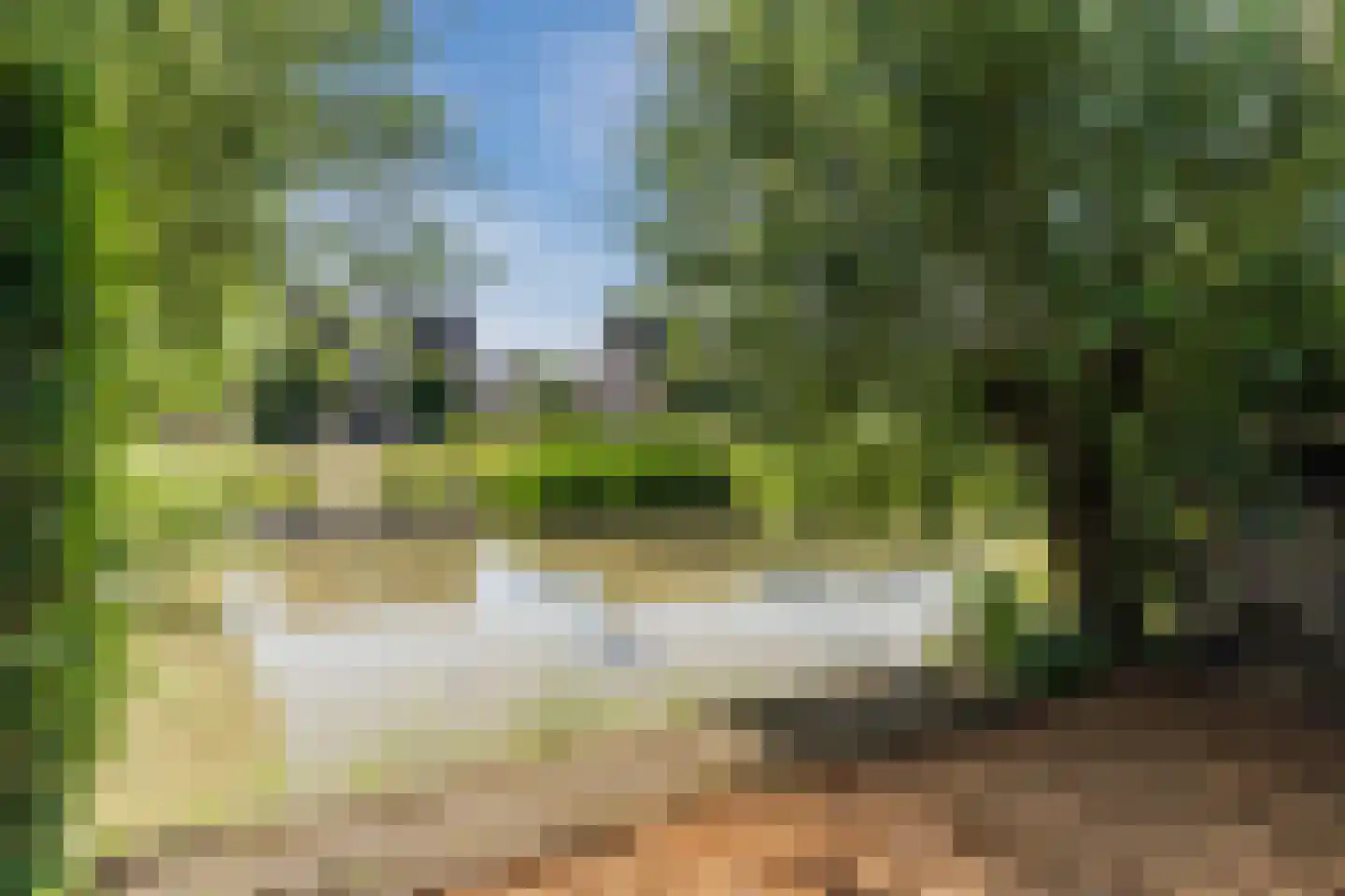 Laageinde 92 b Geldermalsen thumbnail 30