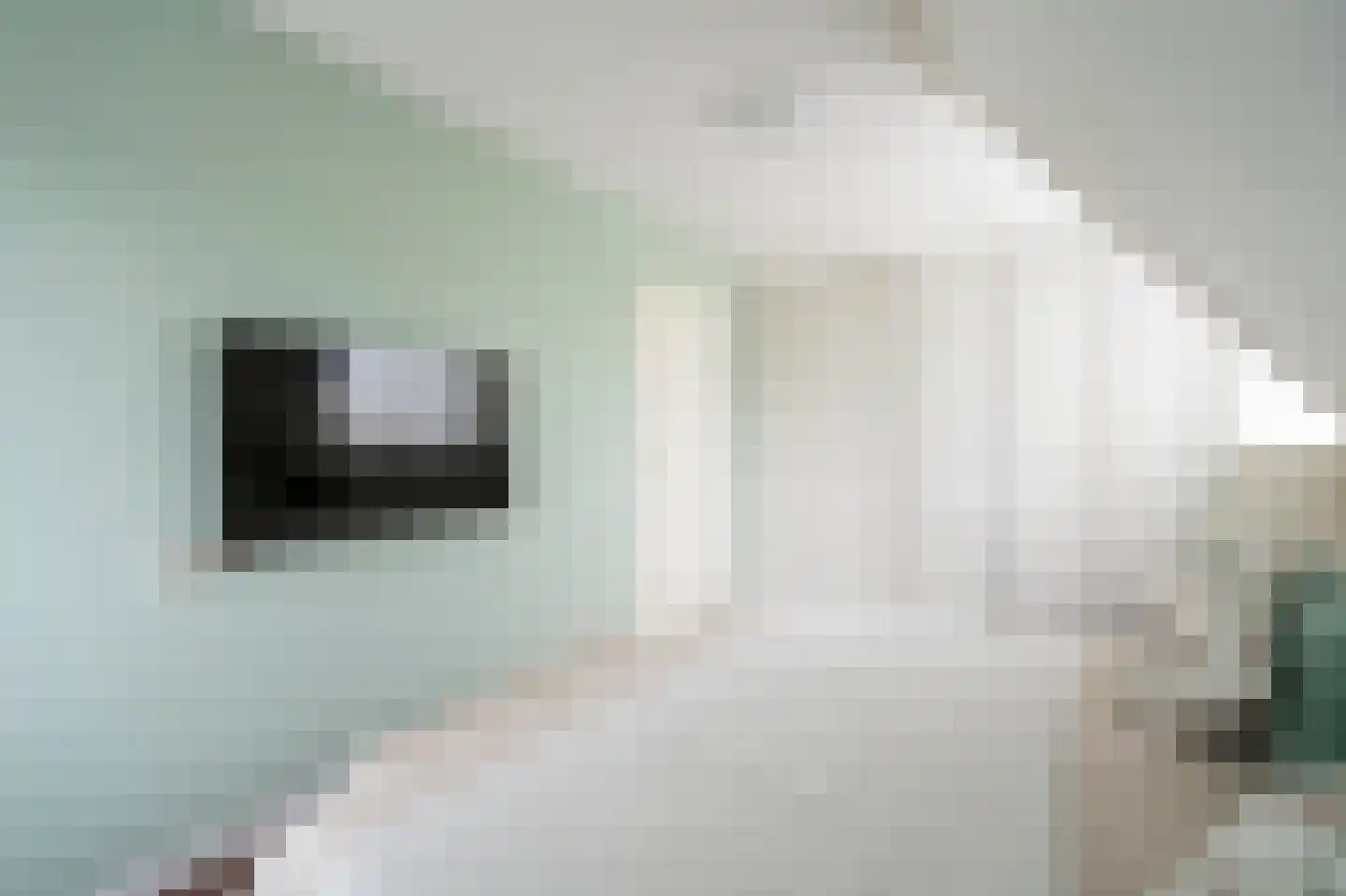 Laageinde 92 b Geldermalsen thumbnail 32