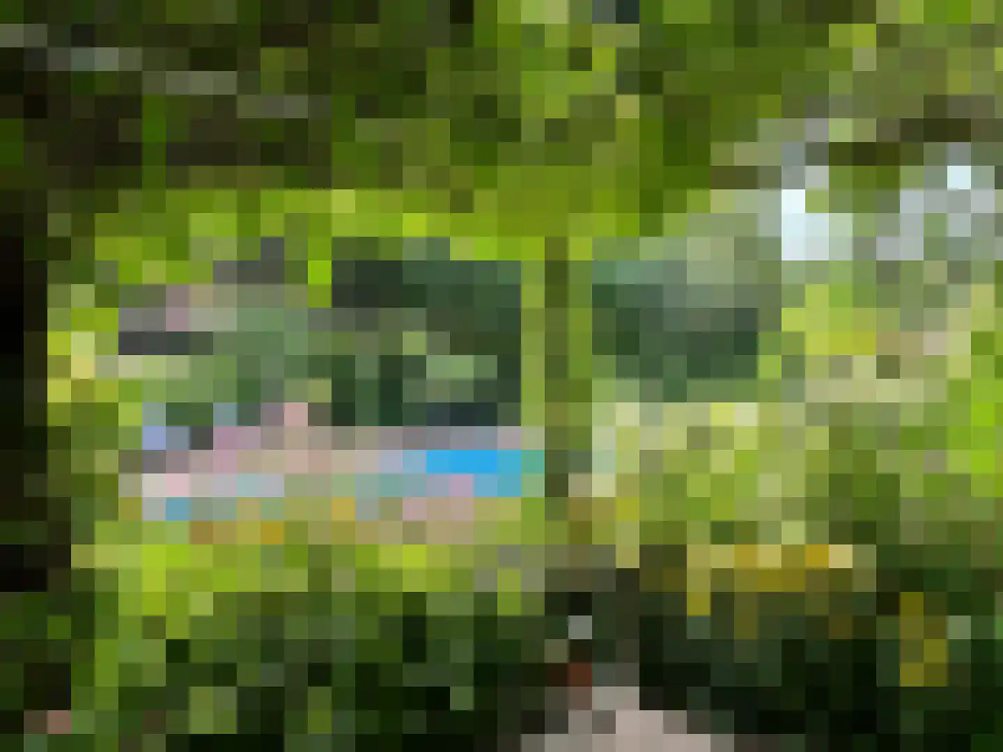 Laageinde 92 b Geldermalsen thumbnail 39