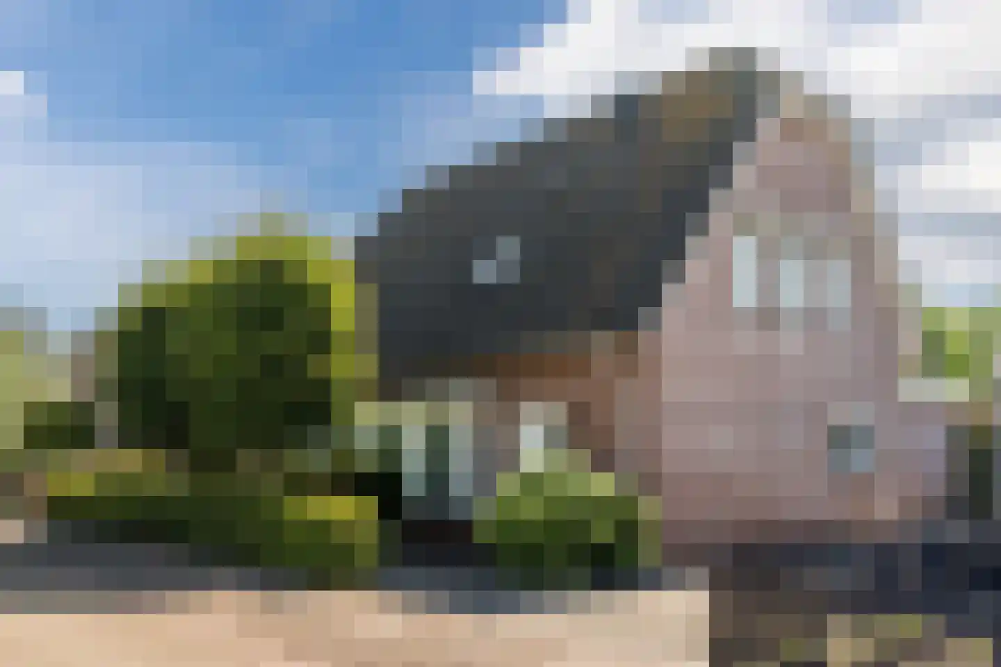 Laageinde 92 b Geldermalsen thumbnail 4