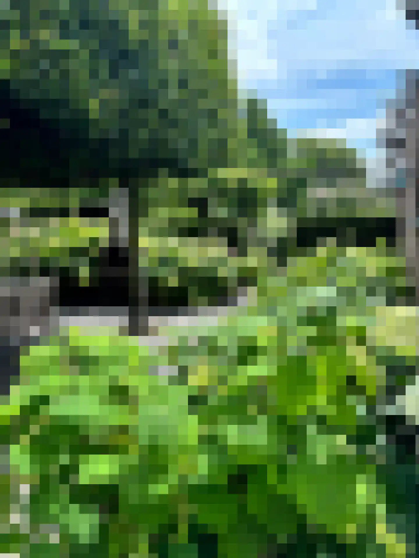 Laageinde 92 b Geldermalsen thumbnail 42
