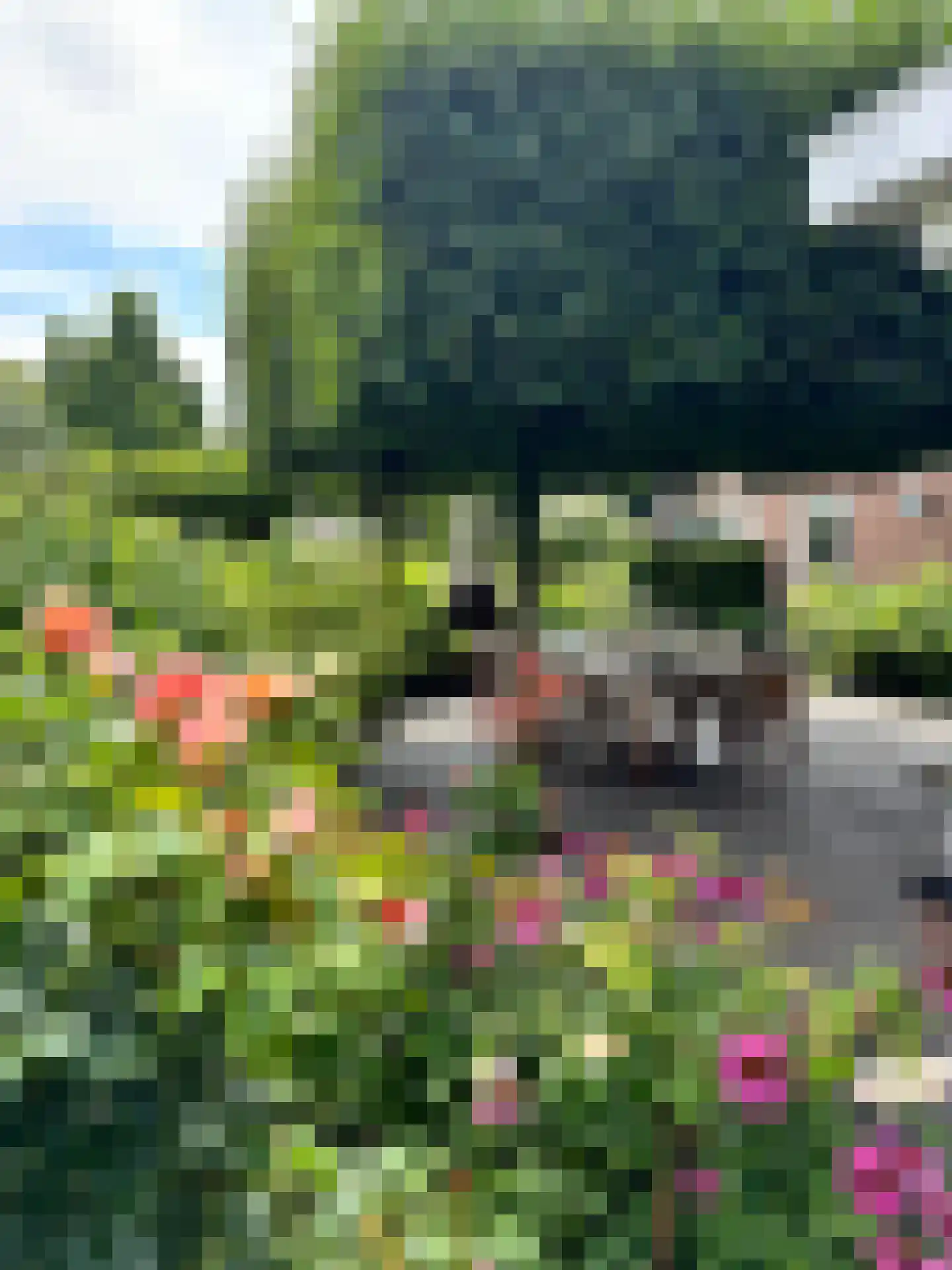 Laageinde 92 b Geldermalsen thumbnail 43