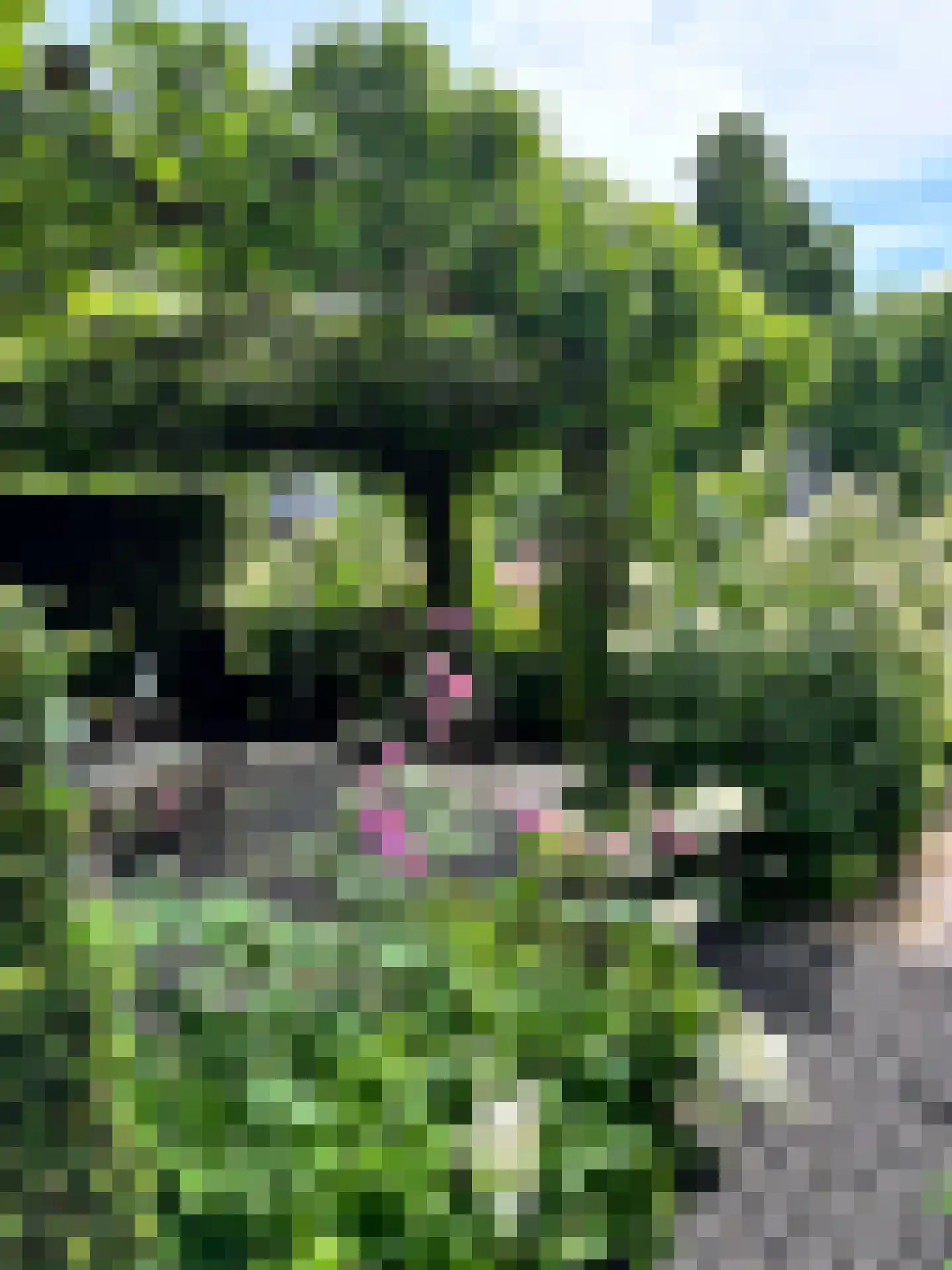 Laageinde 92 b Geldermalsen thumbnail 44