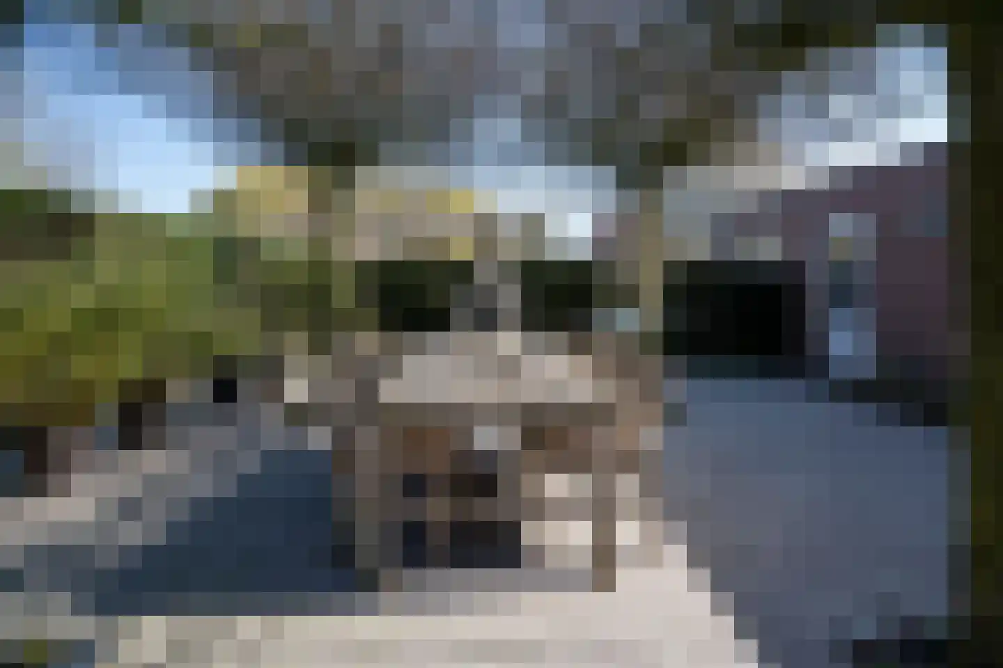 Laageinde 92 b Geldermalsen thumbnail 47