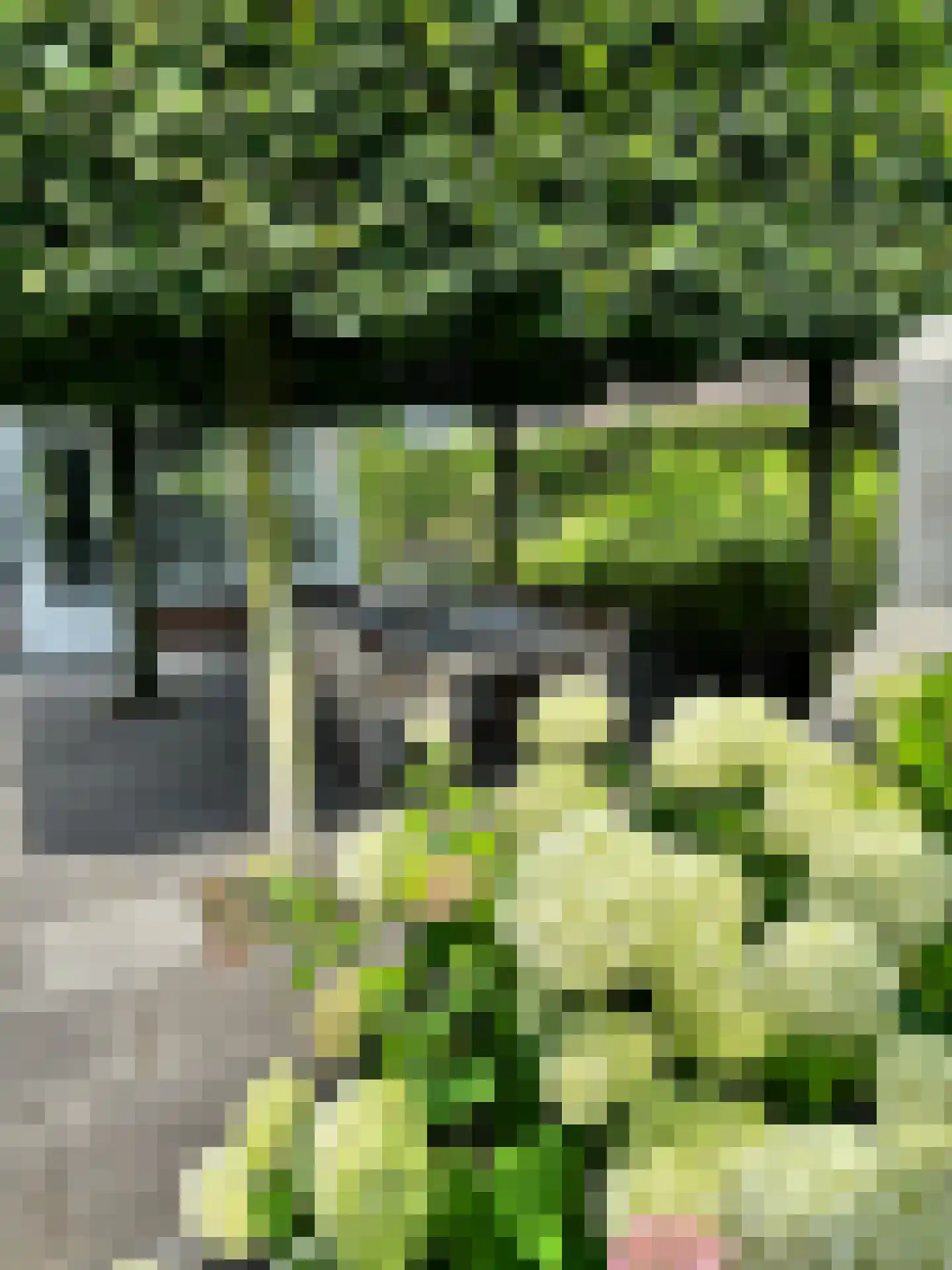 Laageinde 92 b Geldermalsen thumbnail 48