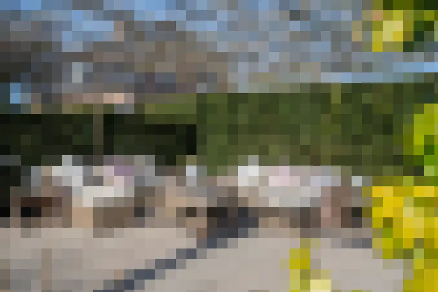 Laageinde 92 b Geldermalsen thumbnail 48