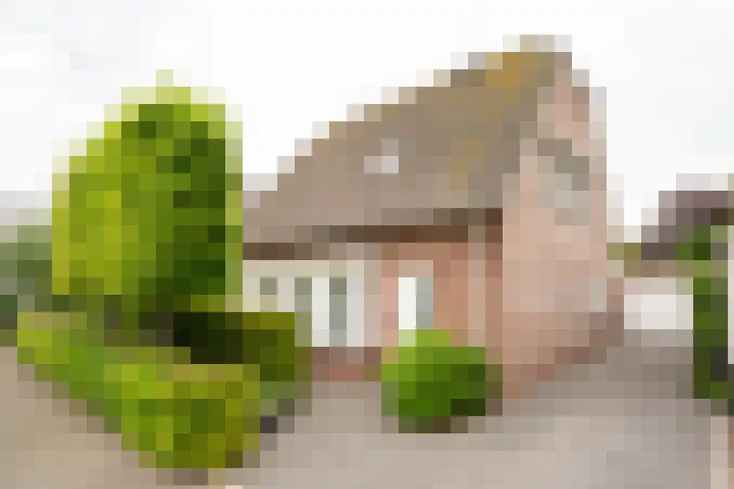 Laageinde 92 b Geldermalsen thumbnail 5