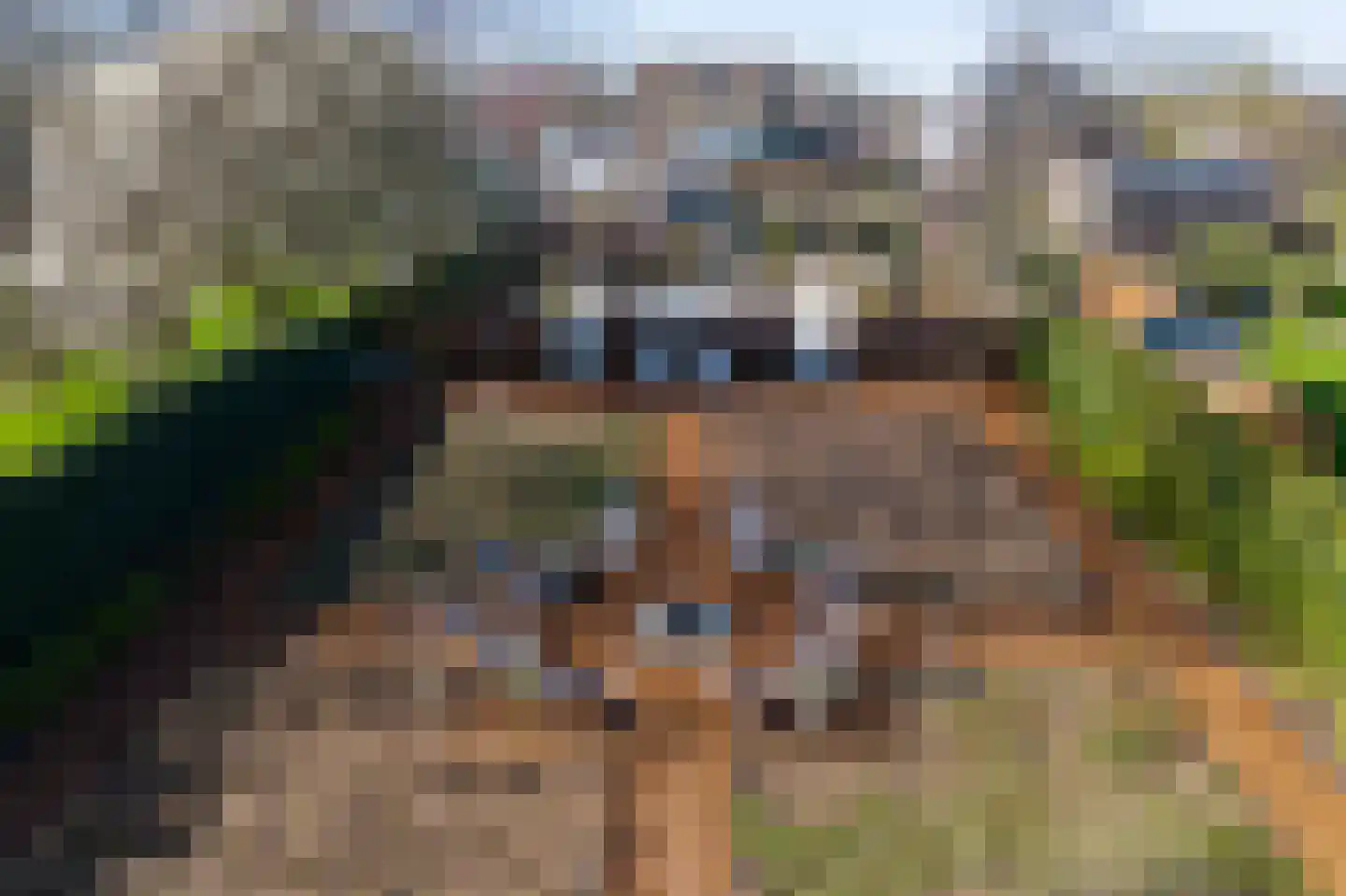 Laageinde 92 b Geldermalsen thumbnail 5