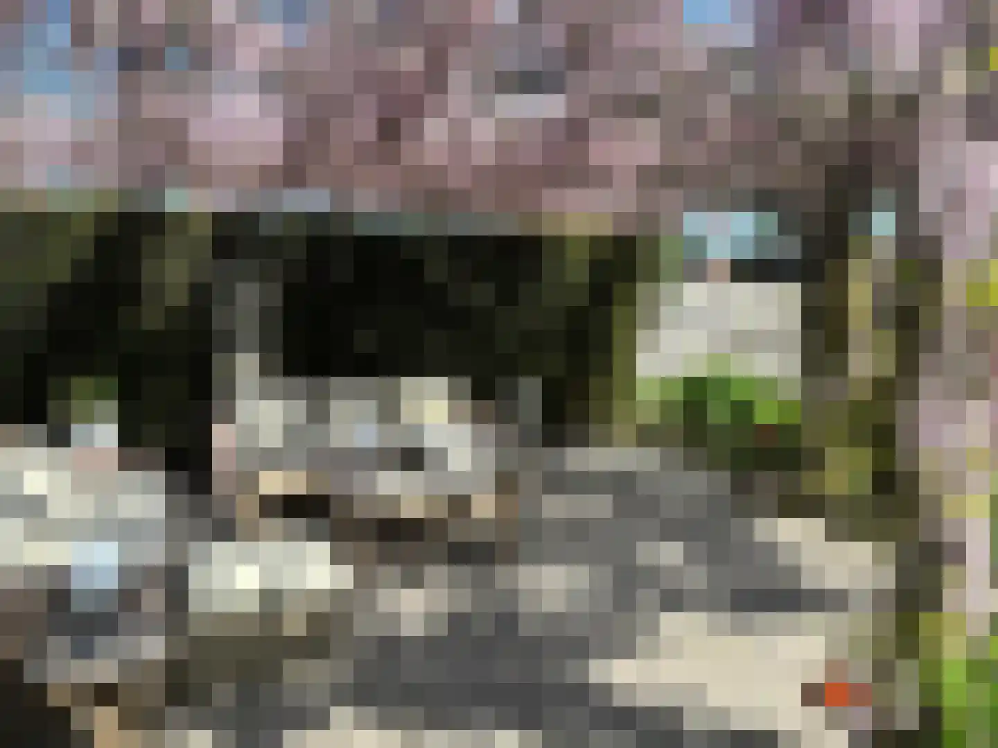Laageinde 92 b Geldermalsen thumbnail 50