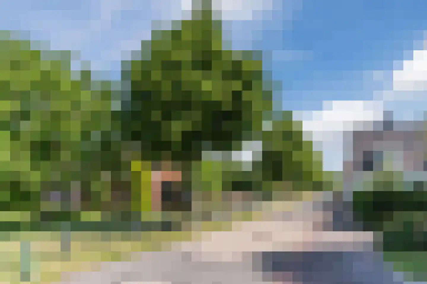 Laageinde 92 b Geldermalsen thumbnail 6