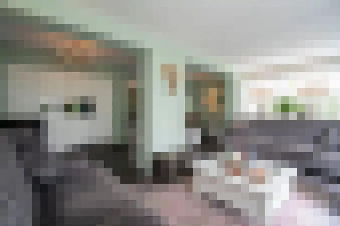 Laageinde 92 b Geldermalsen thumbnail 6