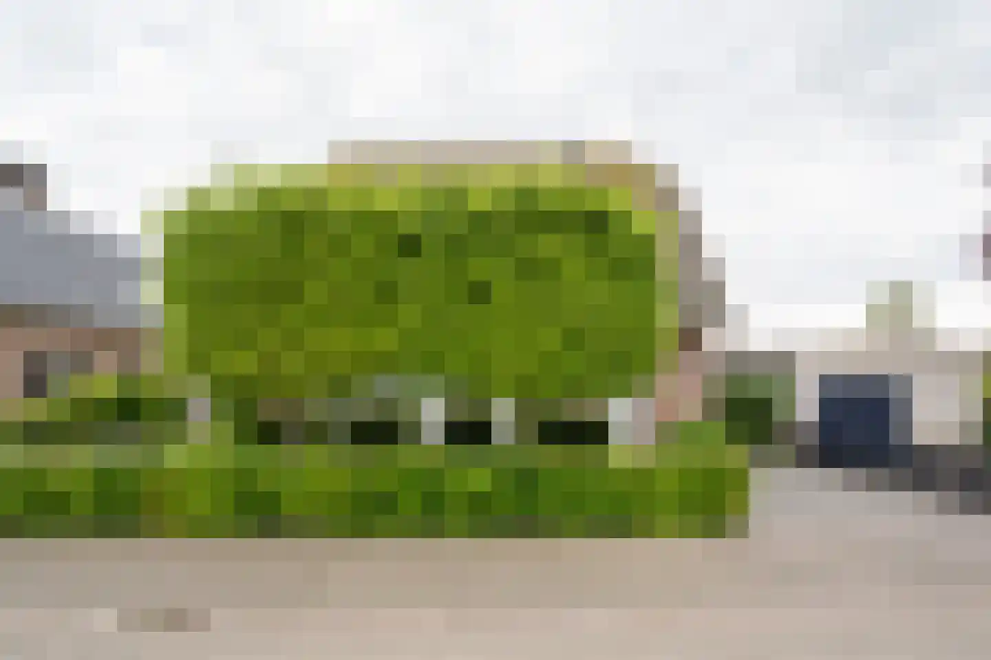 Laageinde 92 b Geldermalsen thumbnail 6