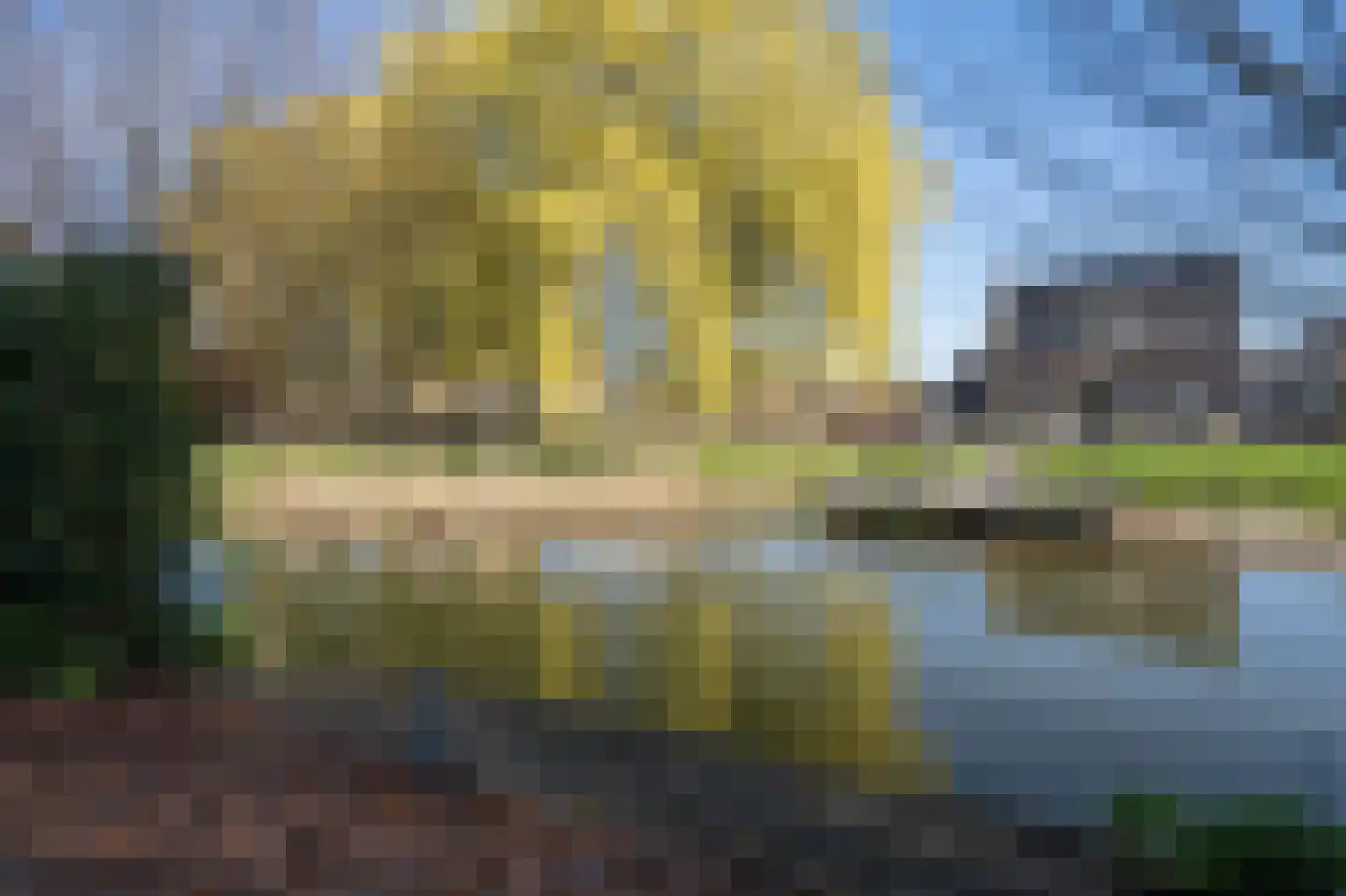 Laageinde 92 b Geldermalsen thumbnail 60