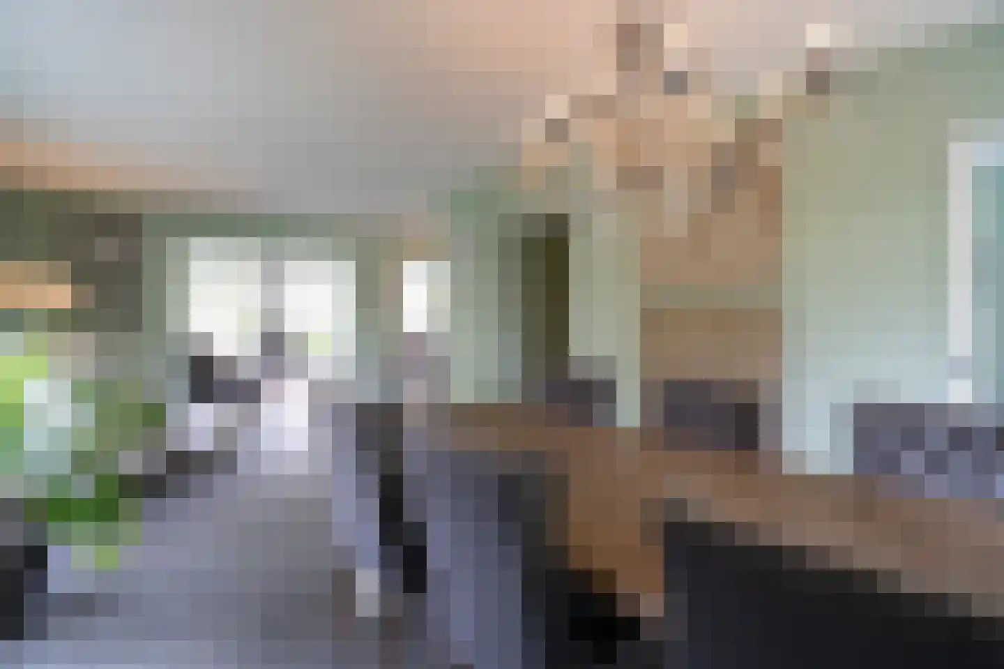 Laageinde 92 b Geldermalsen thumbnail 8