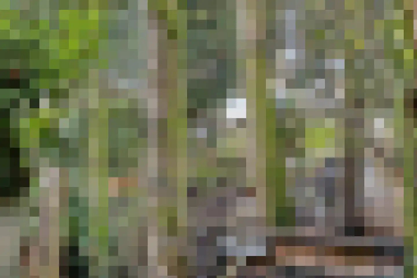 Laageindsbroek 8 Rijkevoort thumbnail 102