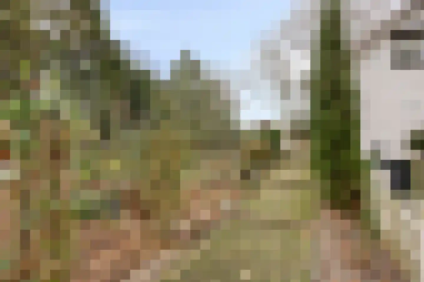 Laageindsbroek 8 Rijkevoort thumbnail 107