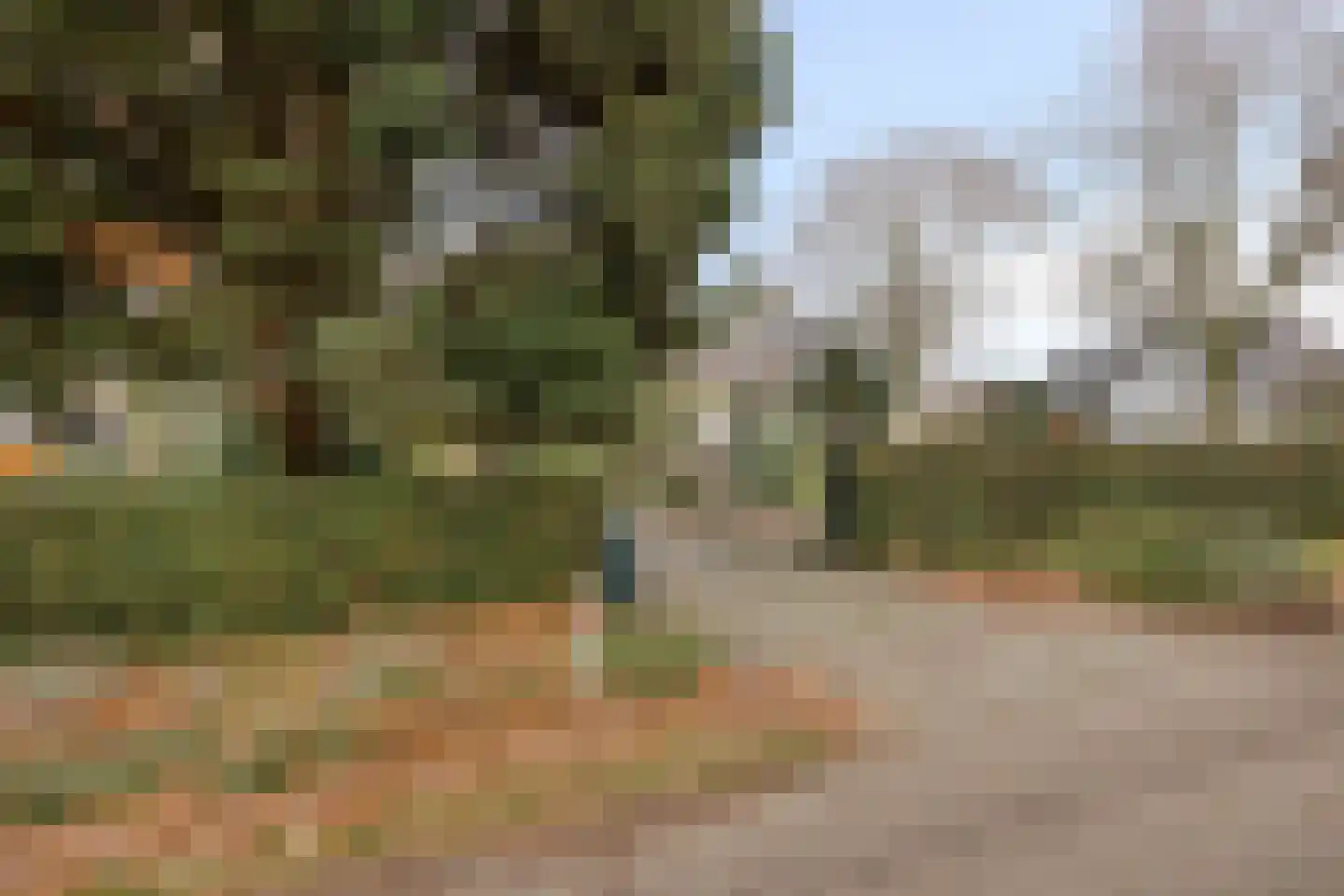 Laageindsbroek 8 Rijkevoort thumbnail 108