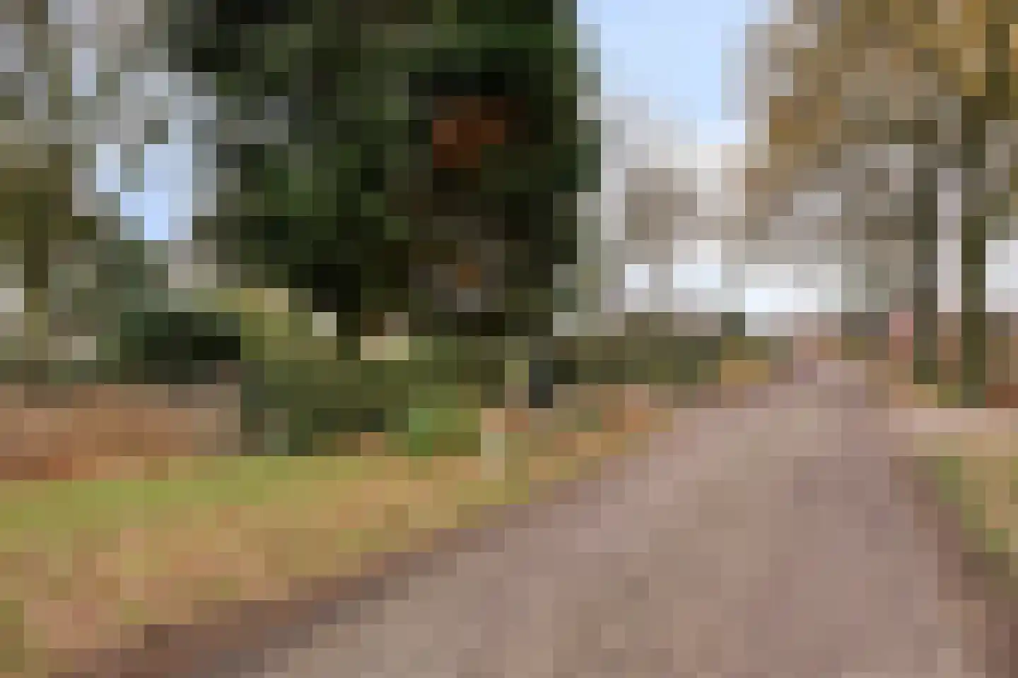 Laageindsbroek 8 Rijkevoort thumbnail 109