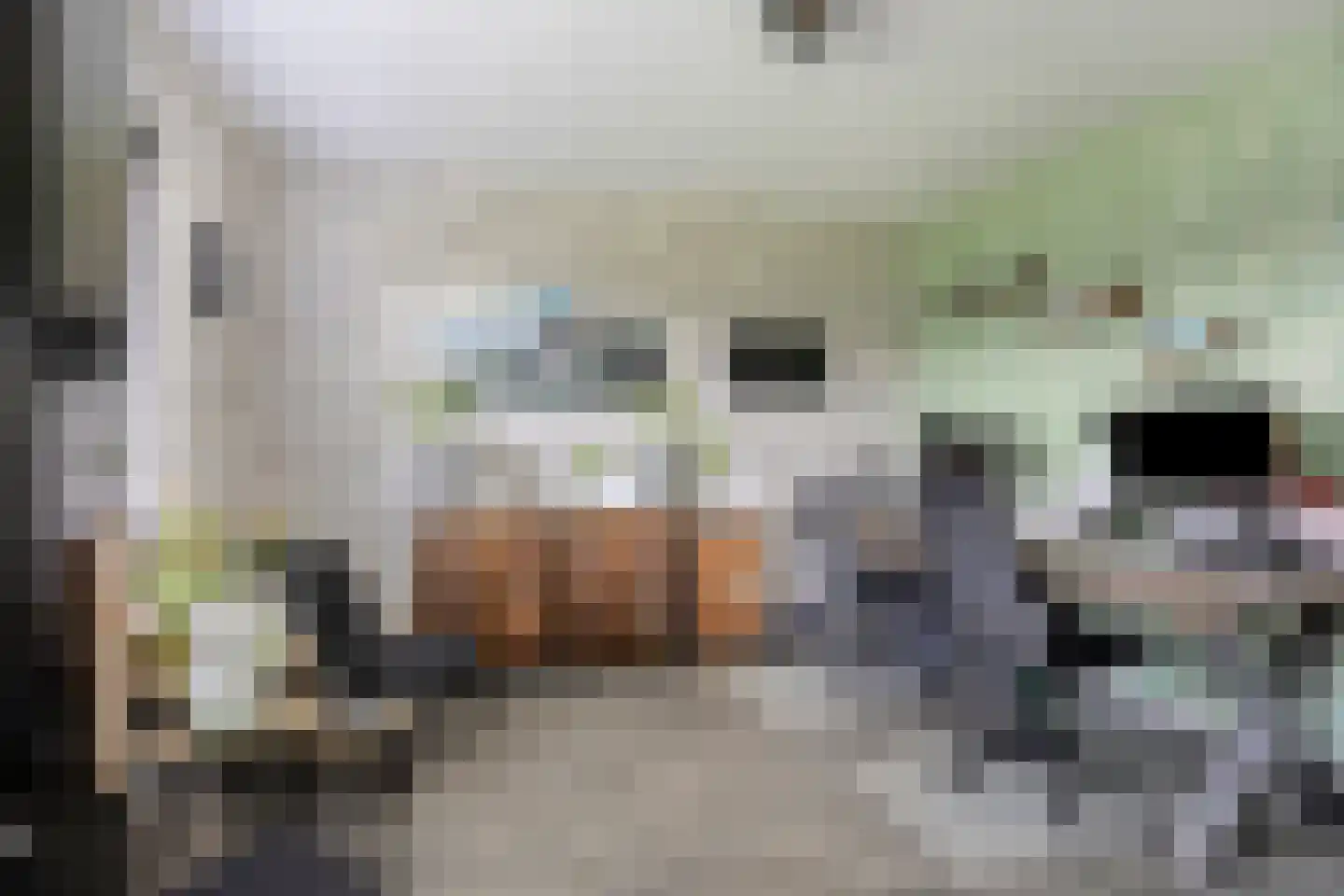 Laageindsbroek 8 Rijkevoort thumbnail 11