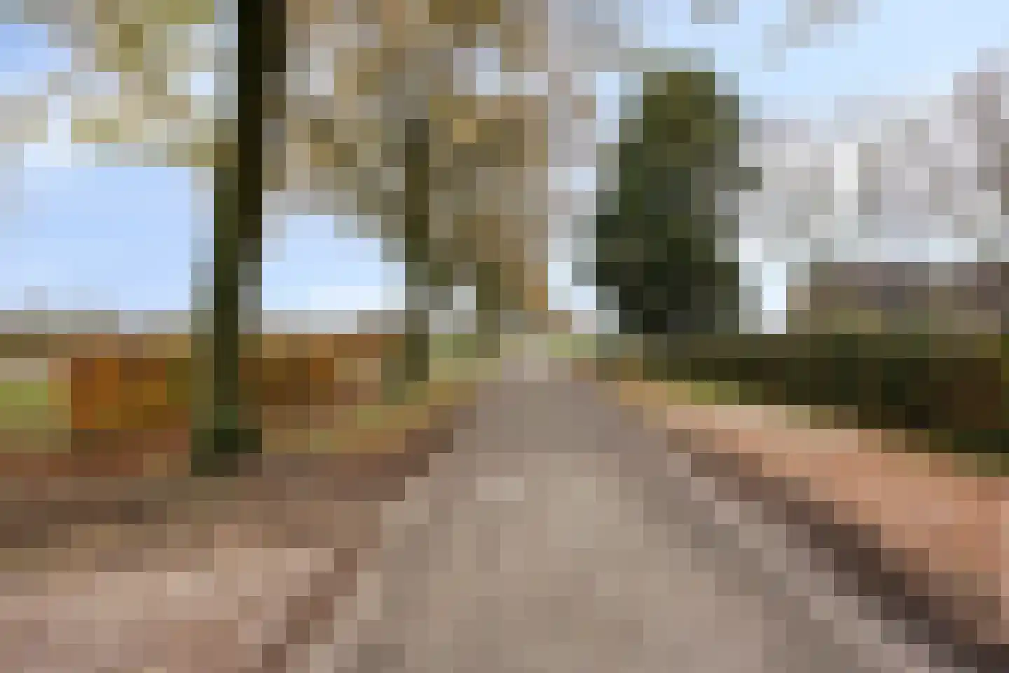 Laageindsbroek 8 Rijkevoort thumbnail 112