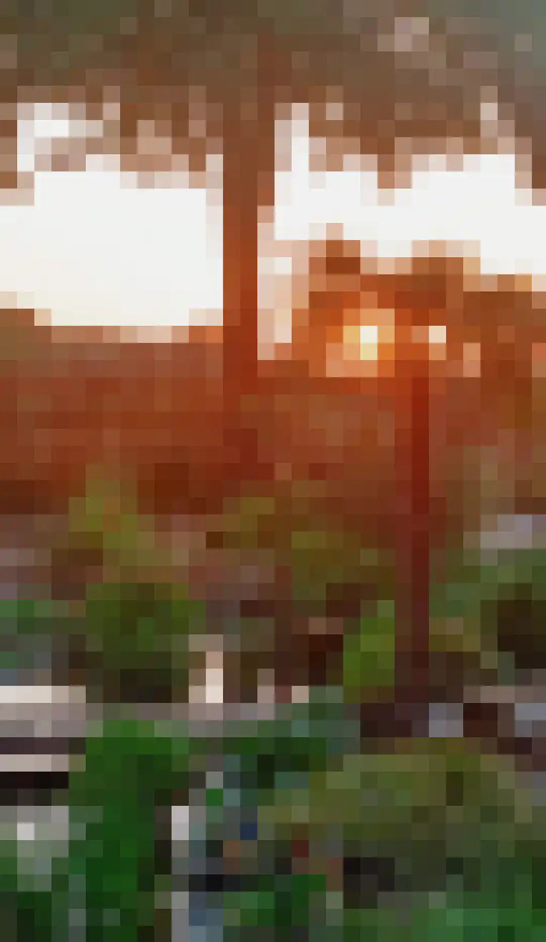 Laageindsbroek 8 Rijkevoort thumbnail 116