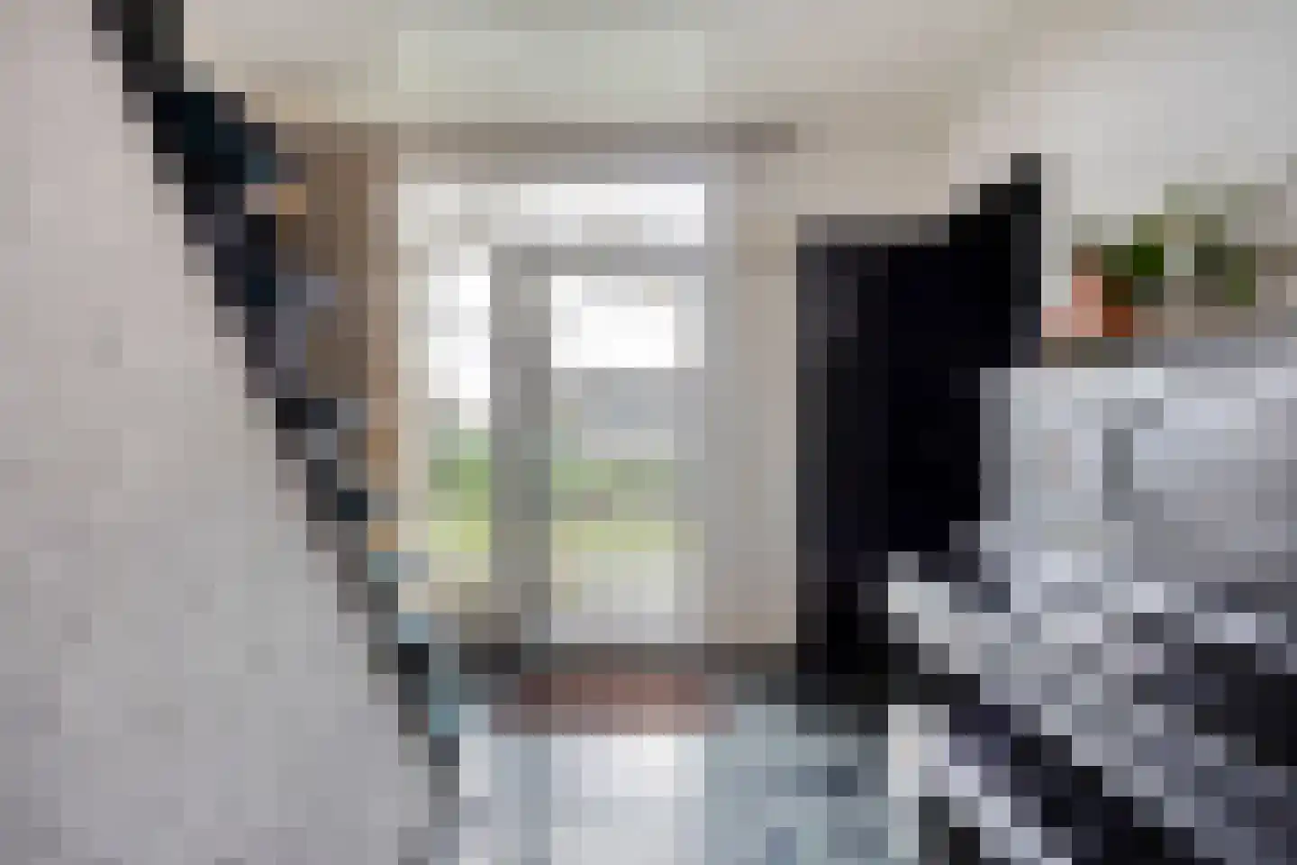 Laageindsbroek 8 Rijkevoort thumbnail 19