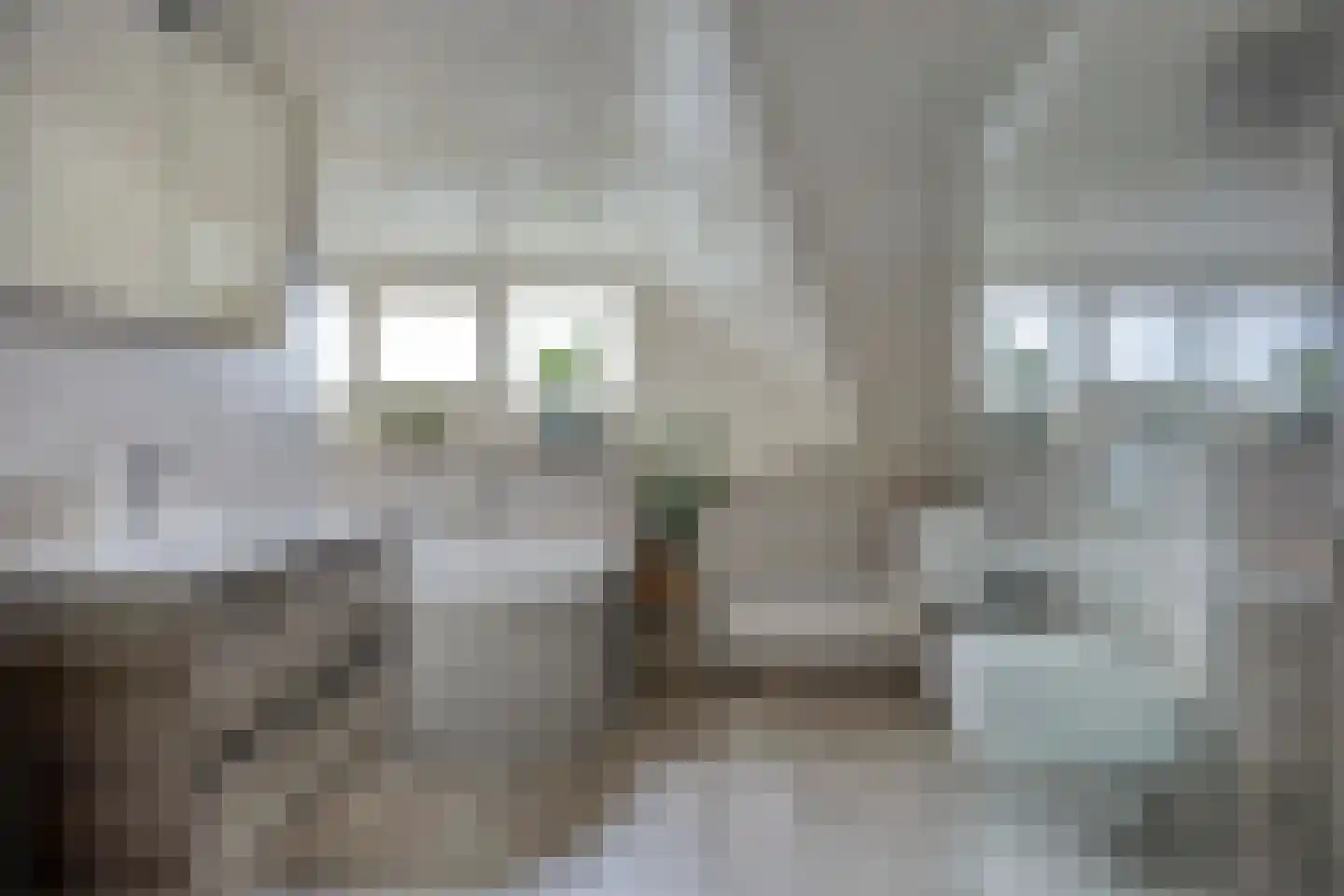 Laageindsbroek 8 Rijkevoort thumbnail 25