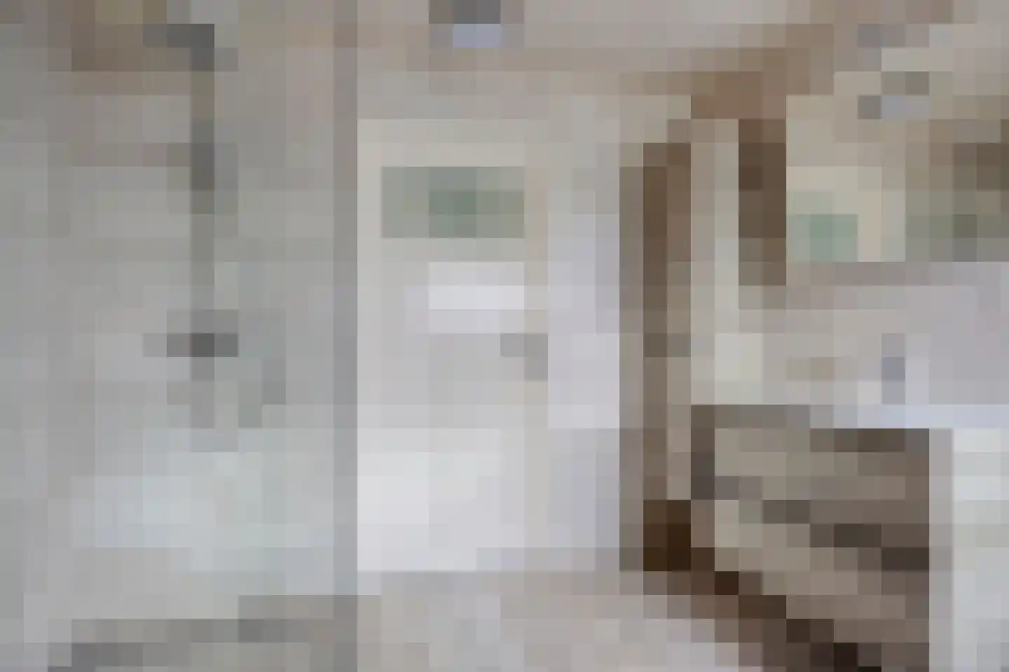 Laageindsbroek 8 Rijkevoort thumbnail 27