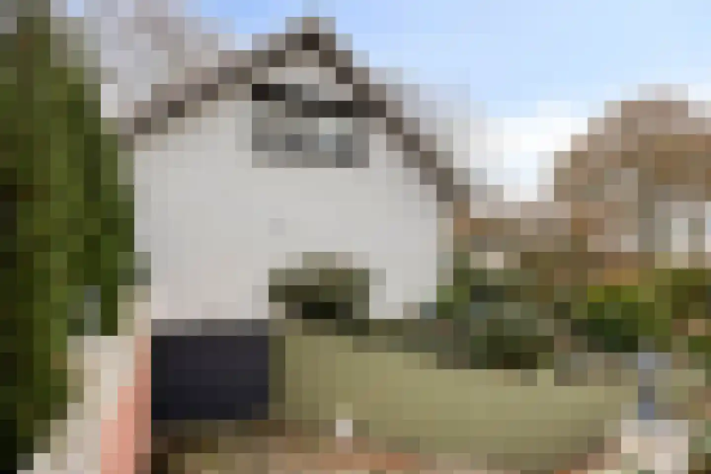 Laageindsbroek 8 Rijkevoort thumbnail 40