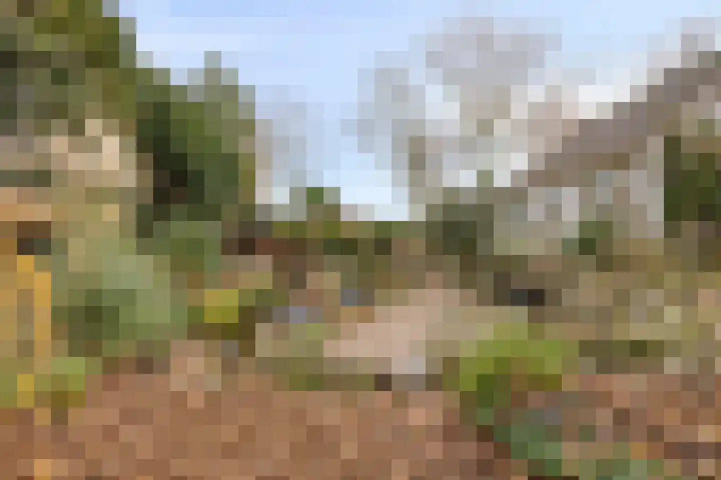 Laageindsbroek 8 Rijkevoort thumbnail 43