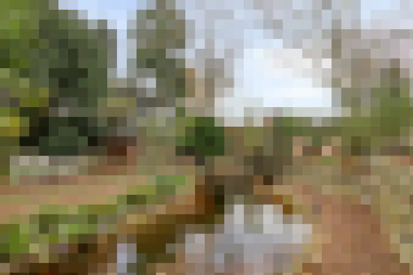 Laageindsbroek 8 Rijkevoort thumbnail 44