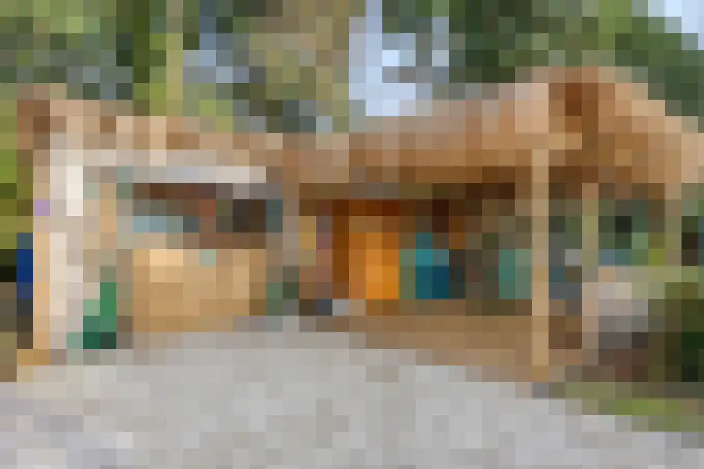 Laageindsbroek 8 Rijkevoort thumbnail 46