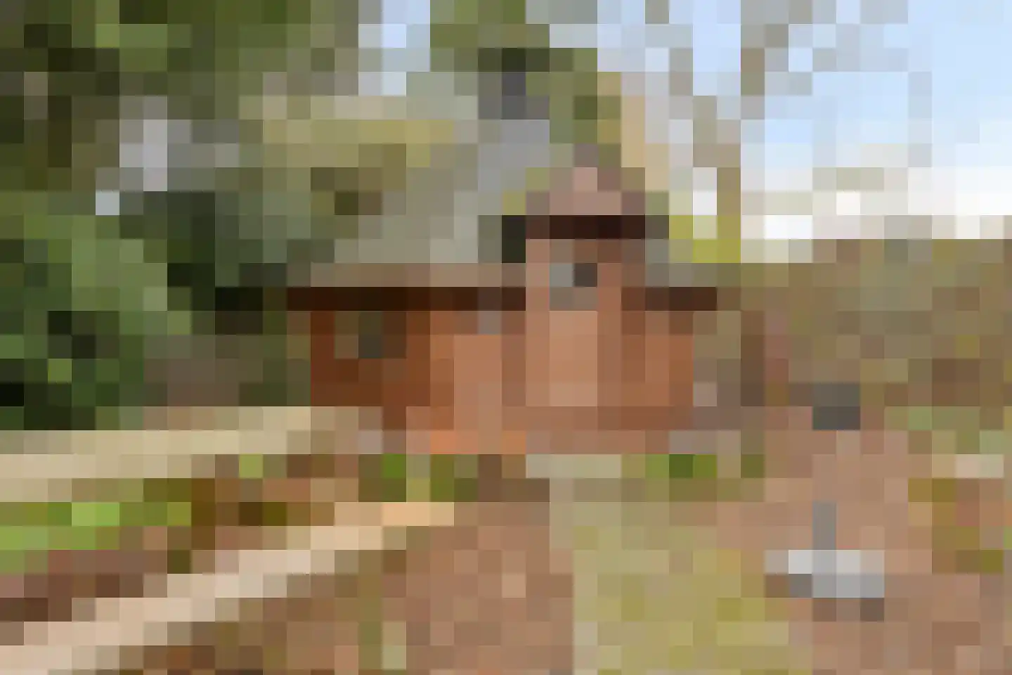 Laageindsbroek 8 Rijkevoort thumbnail 48