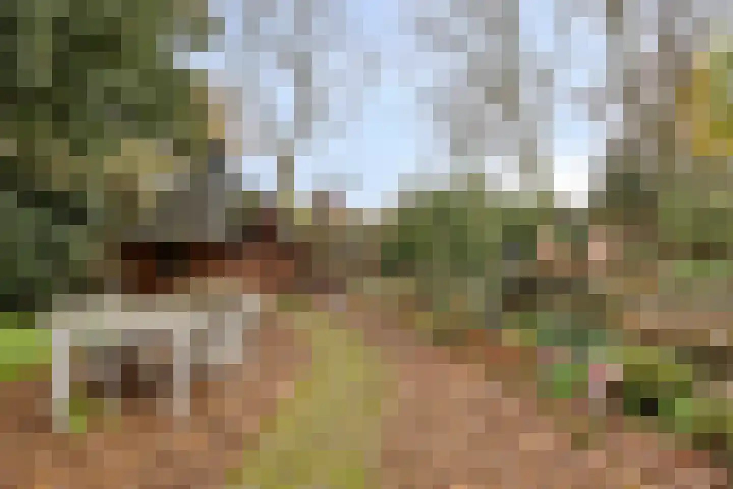Laageindsbroek 8 Rijkevoort thumbnail 51