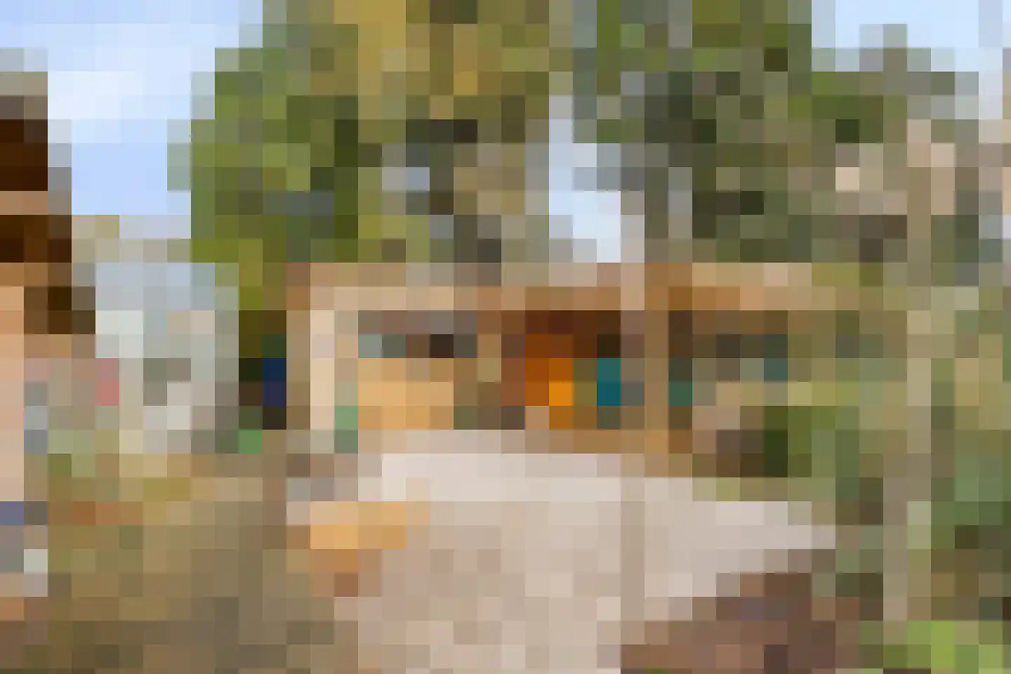 Laageindsbroek 8 Rijkevoort thumbnail 54