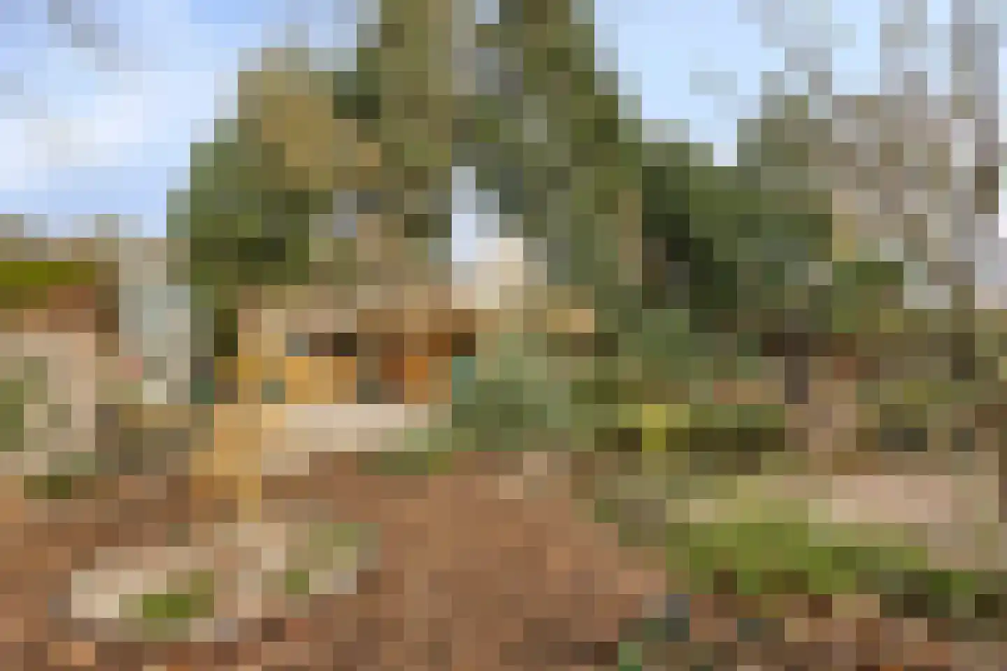Laageindsbroek 8 Rijkevoort thumbnail 57
