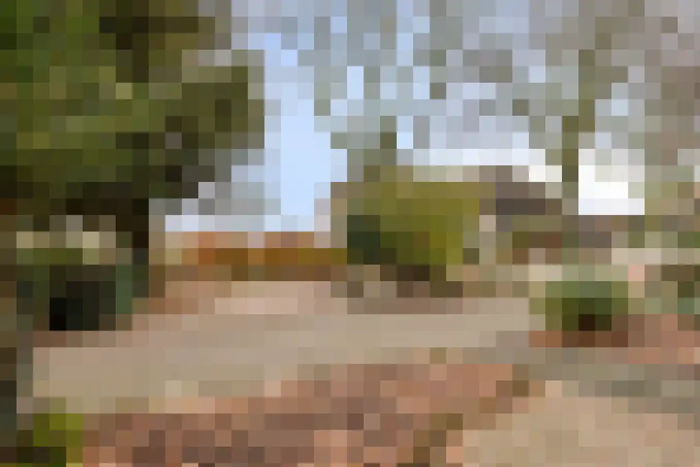 Laageindsbroek 8 Rijkevoort thumbnail 58